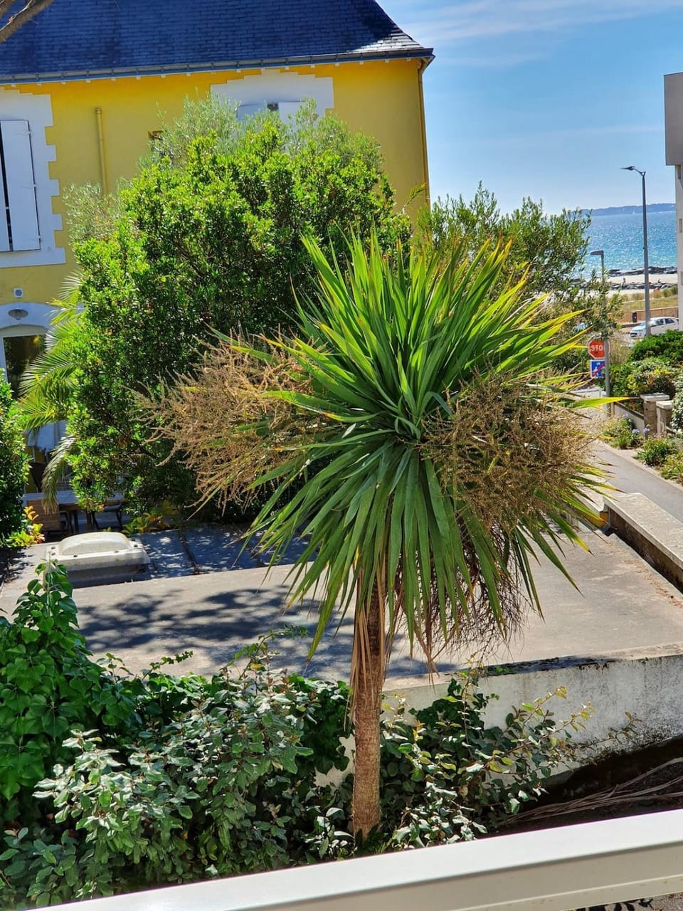 Natural landscape, Garden