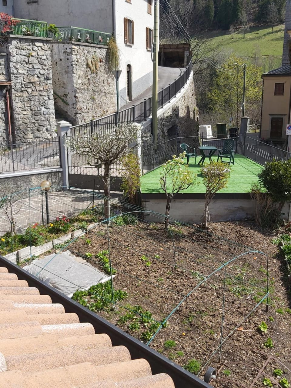 Garden view
