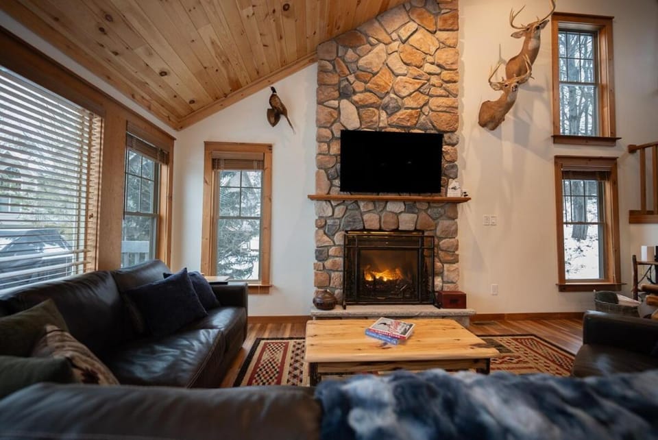 Skiing, TV and multimedia, Living room, Seating area, Evening entertainment, fireplace, fireplace, pet friendly