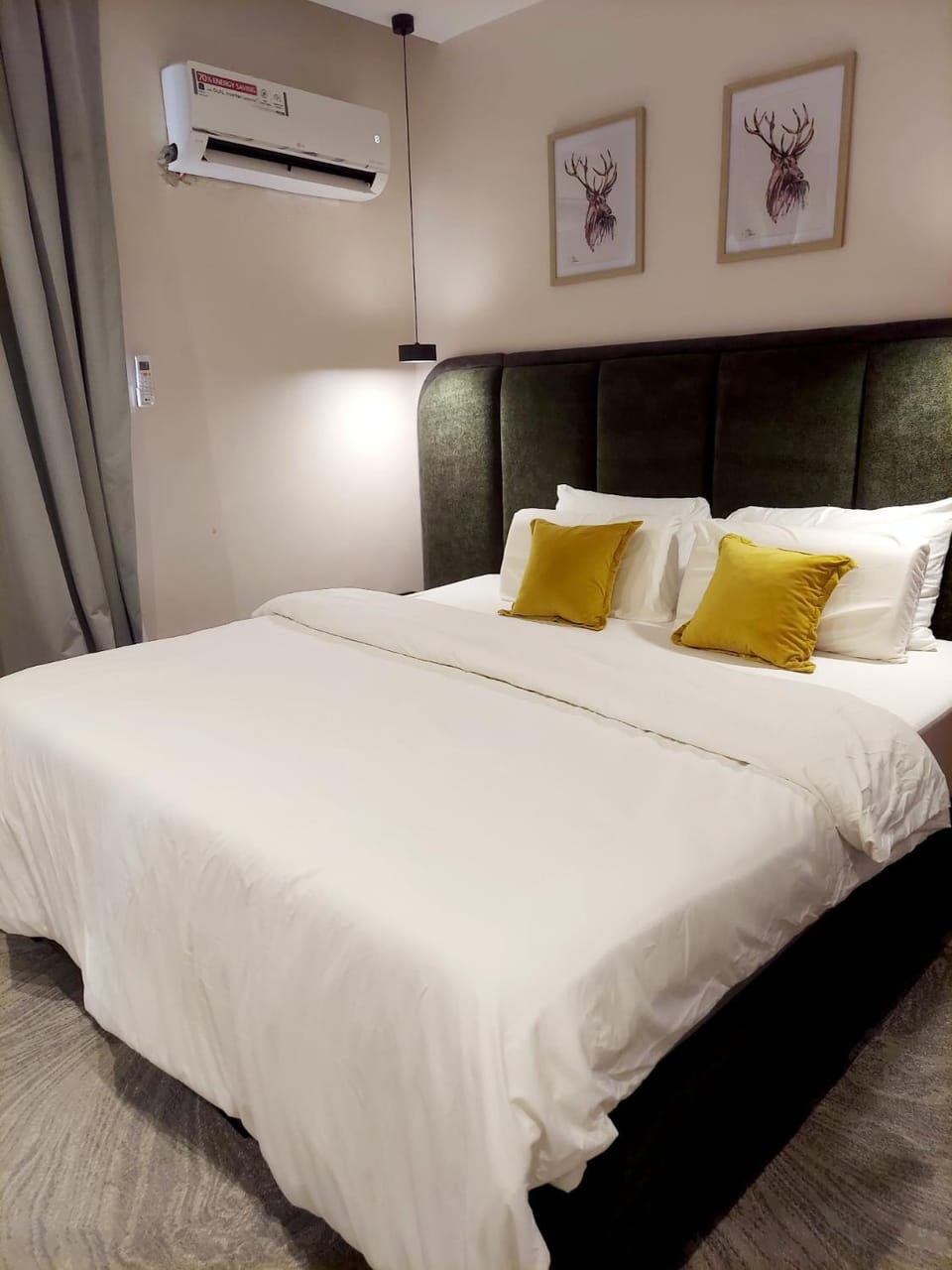 Bed, Photo of the whole room, Bedroom, air conditioner