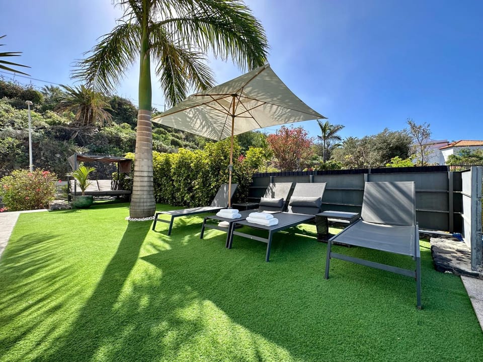 Garden, Garden, Swimming pool, sunbed