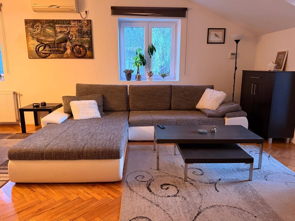 Living room, Photo of the whole room, Seating area, air conditioner