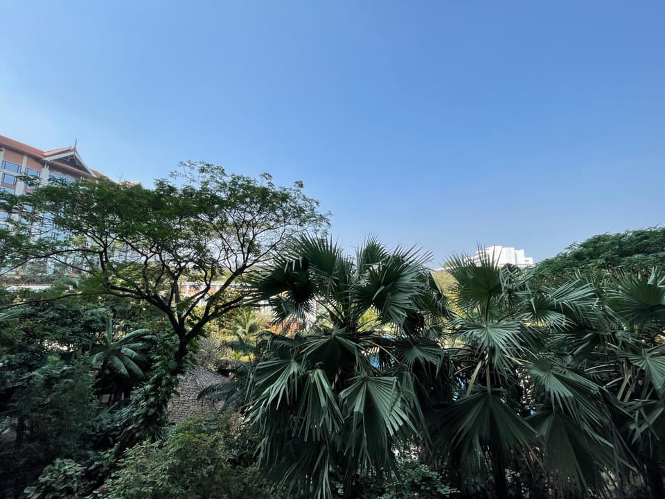 Garden view