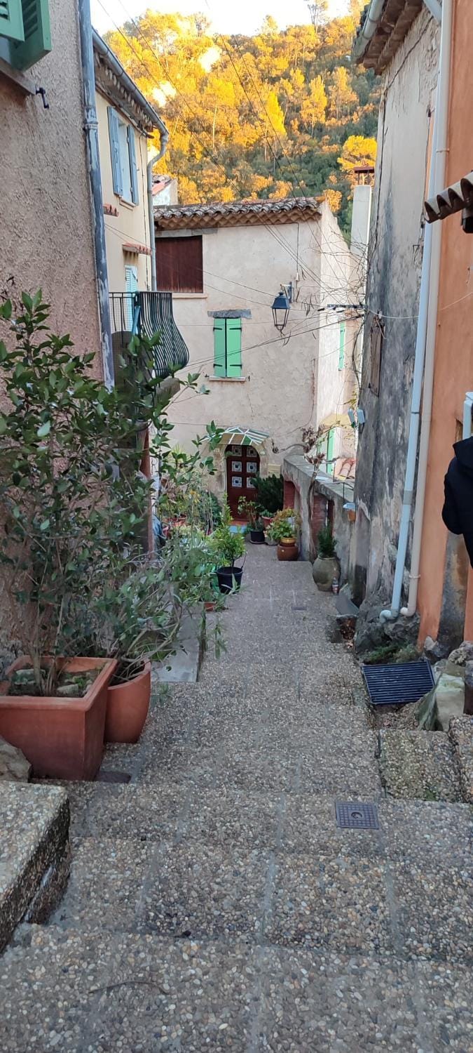 Quiet street view