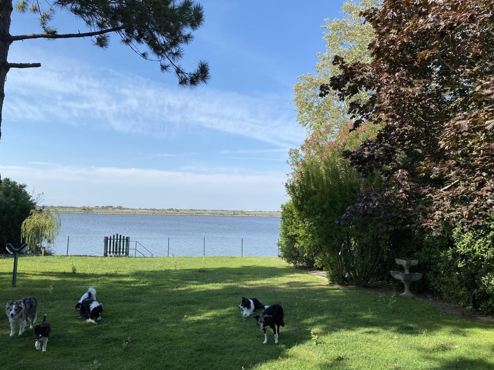 April Villa in Isola Albarella