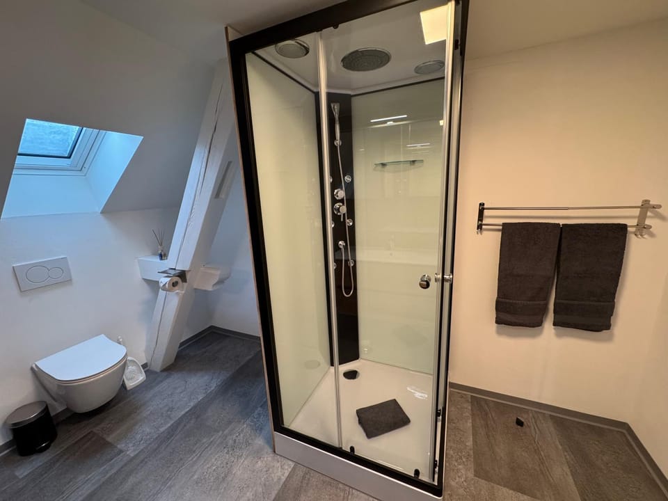 Shower, Toilet, Bathroom, towels