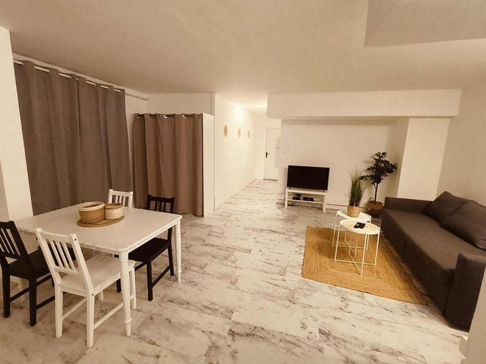Grand et beau studio de 63 m Apartment in Nice
