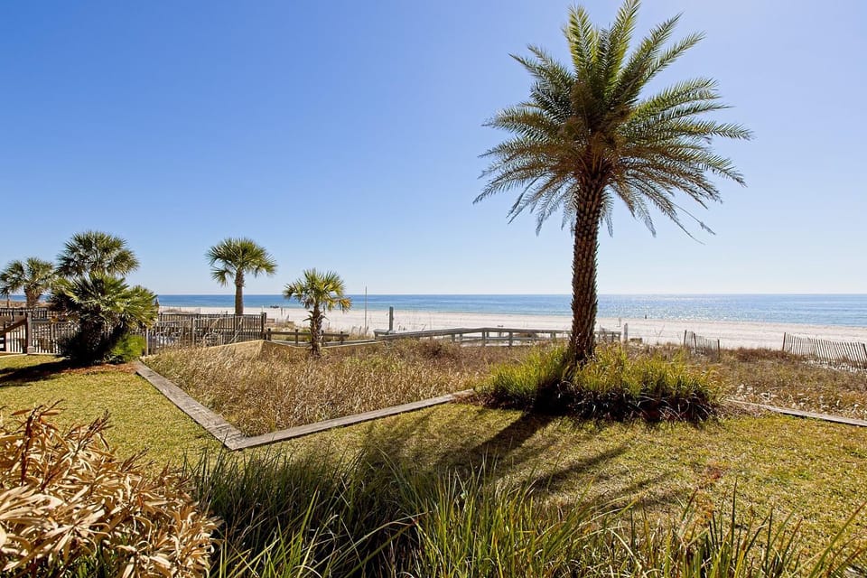 Natural landscape, Garden, Beach