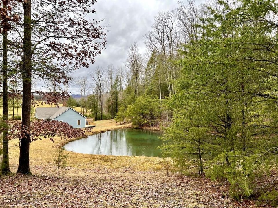 Natural landscape
