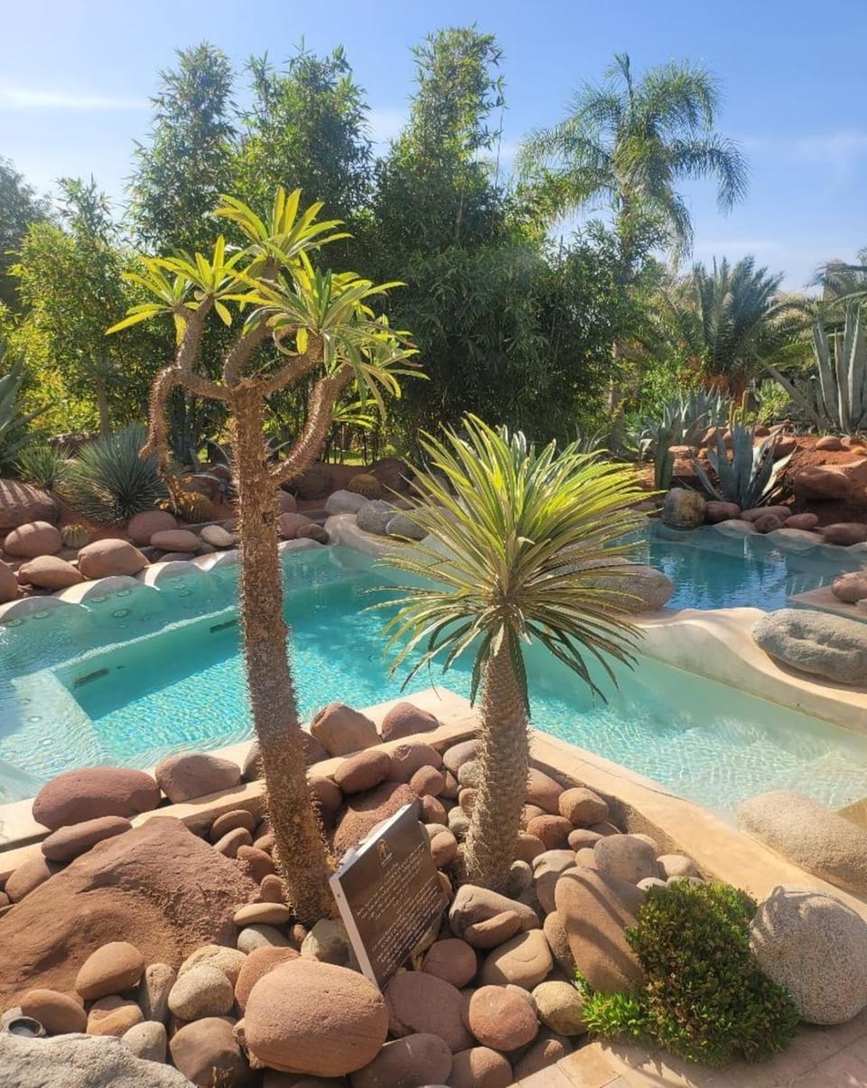 Spring, Day, Night, Natural landscape, Garden, Garden view, Pool view, Pool view, Swimming pool, Swimming pool