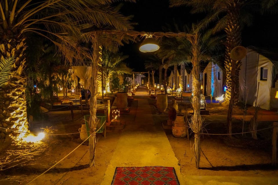 Night, Garden, Garden view