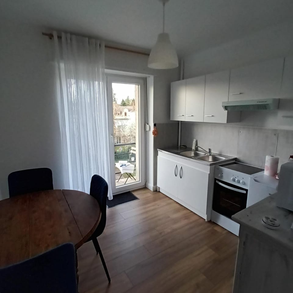 charming apartment Apartment in Saarbrücken