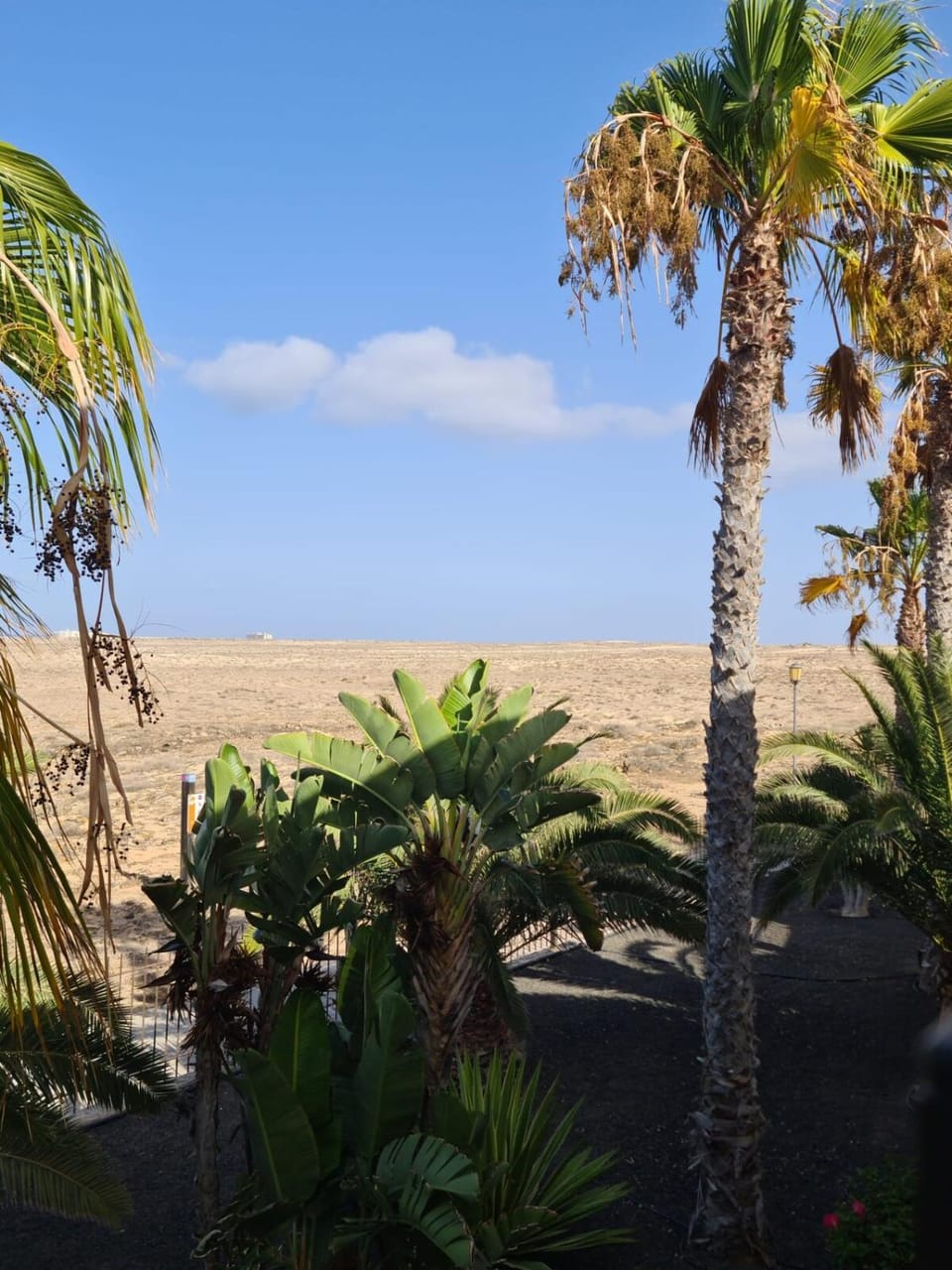 Natural landscape, Sea view