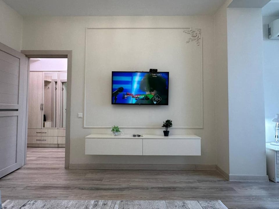 TV and multimedia