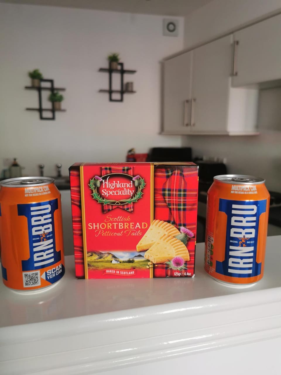 Stevenson Apartment in Oban City Apartment in Oban