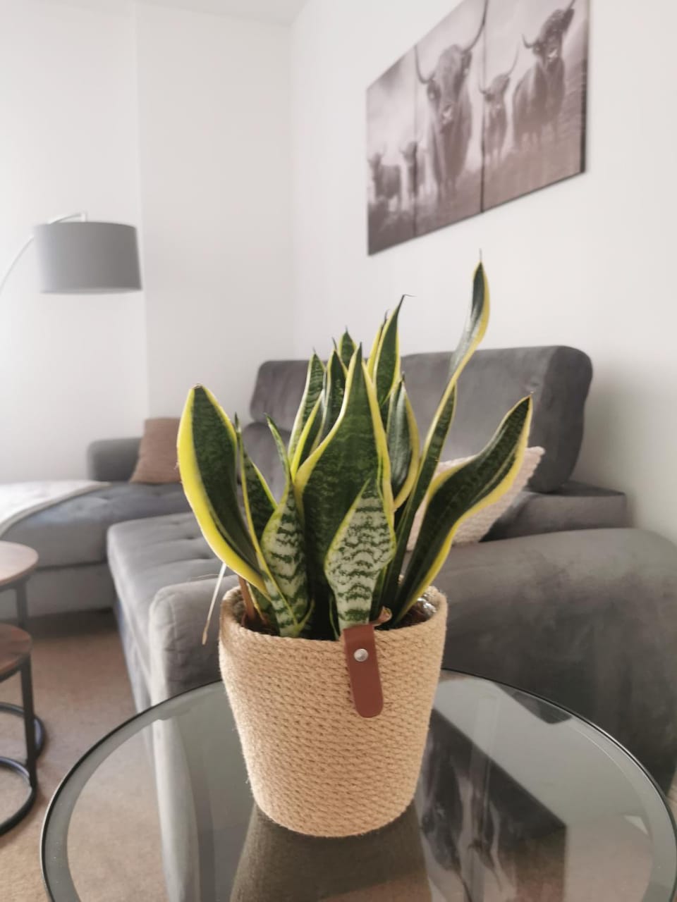 Stevenson Apartment in Oban City Apartment in Oban