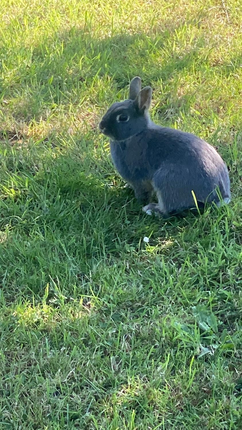 Elbeuf city House in Normandy