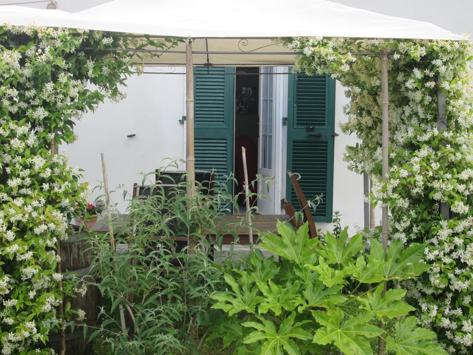 Garden, Garden
