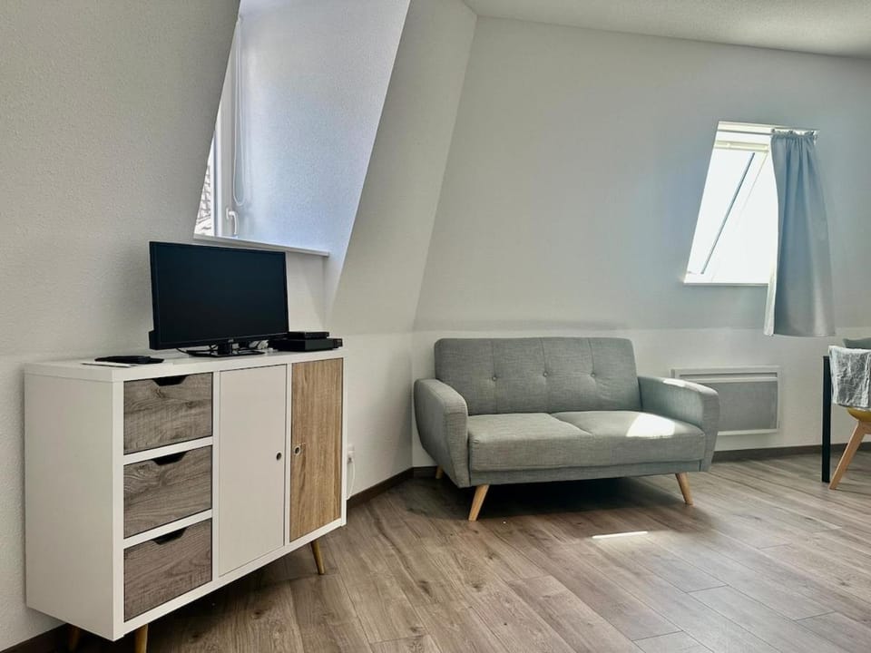 #Petit cocon au cœur de Mulhouse Apartment in Mulhouse
