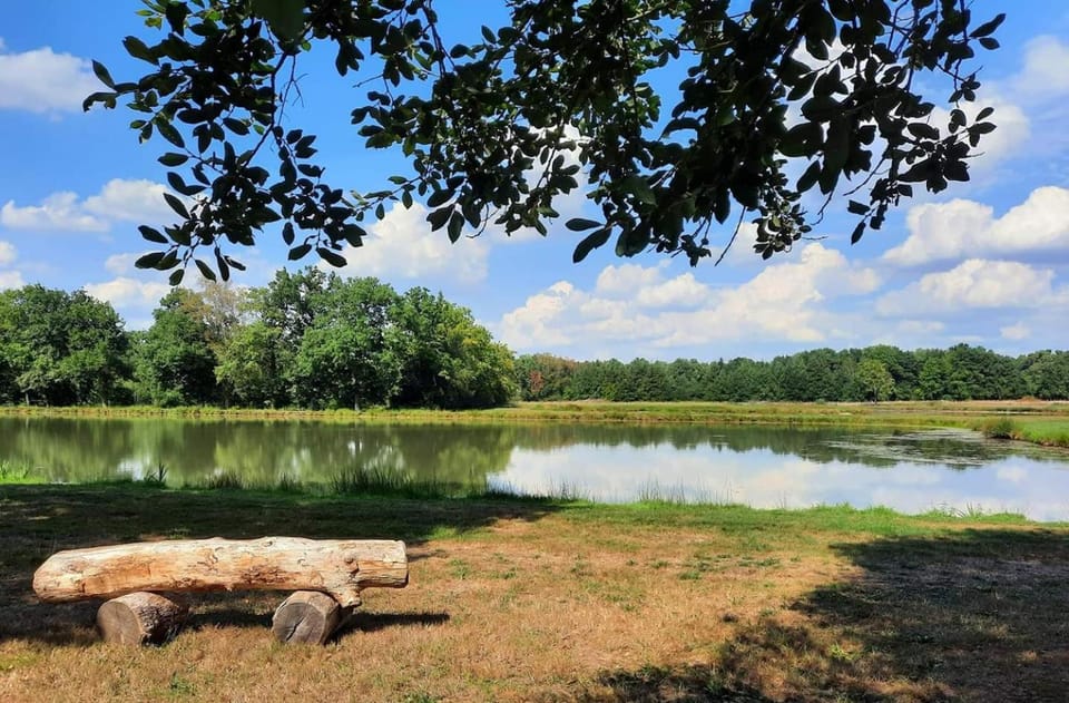 Natural landscape