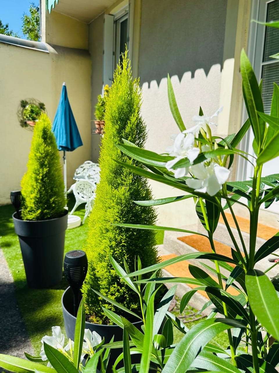 Studio charmant Parking & terrasse près du centre Apartment in Nantes