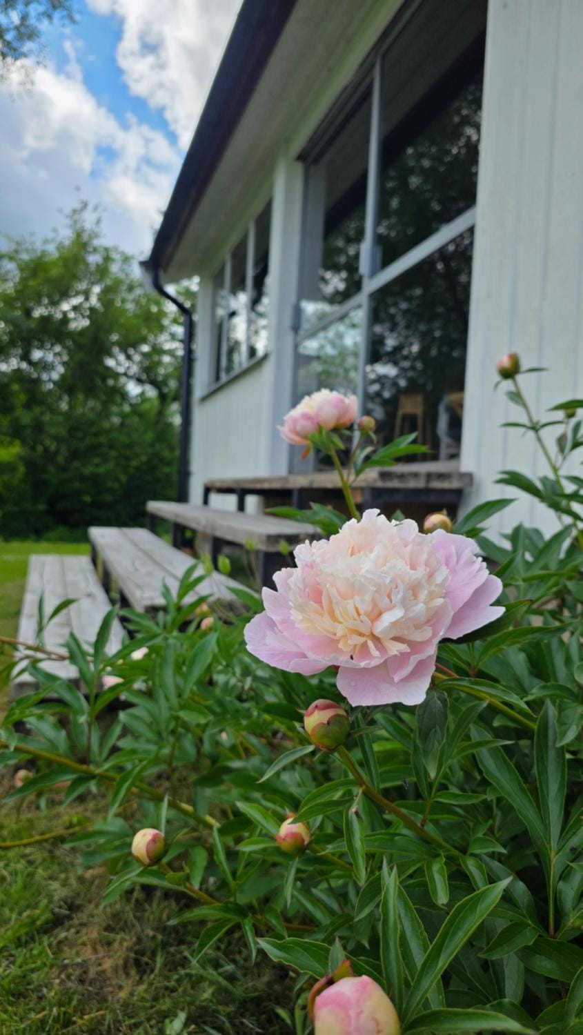 Henrys utanför Ullared House in Västra Götaland County