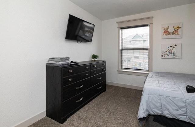 Fun Backyard Close to Downtown Pet Friendly 4BDRM Apartment in Des Moines