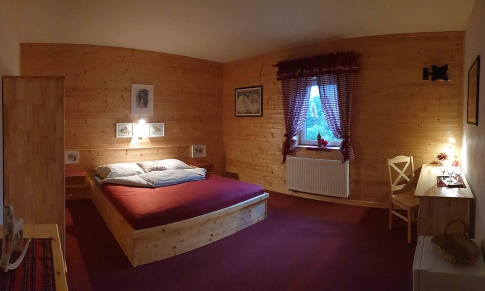 Penzion U dvou studní Bed and Breakfast in Czechia