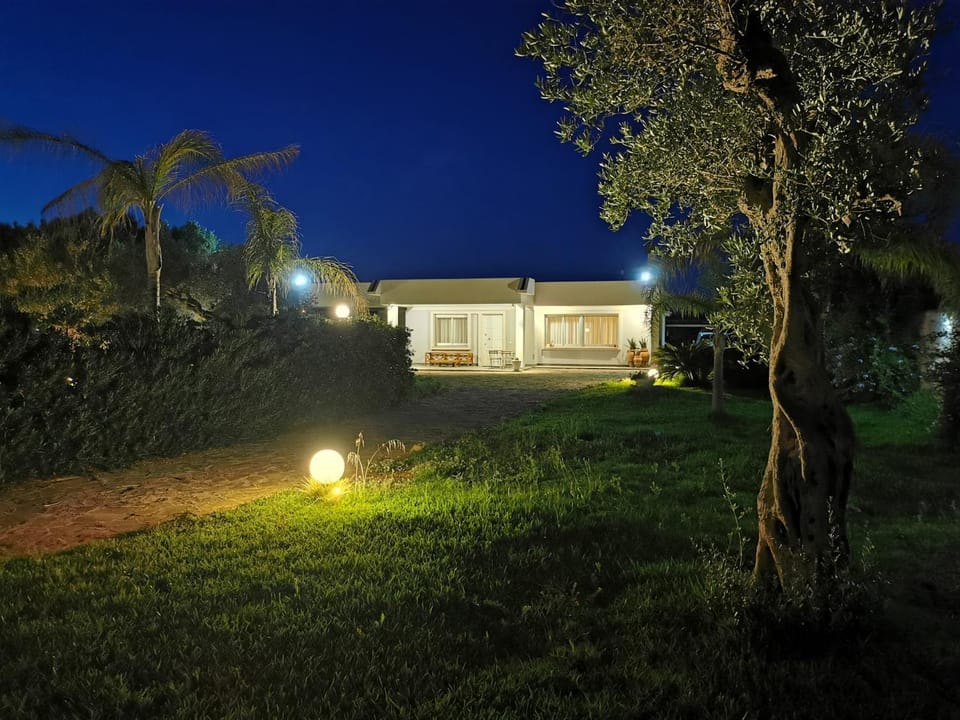 Property building, Night, Natural landscape, Garden, Garden view