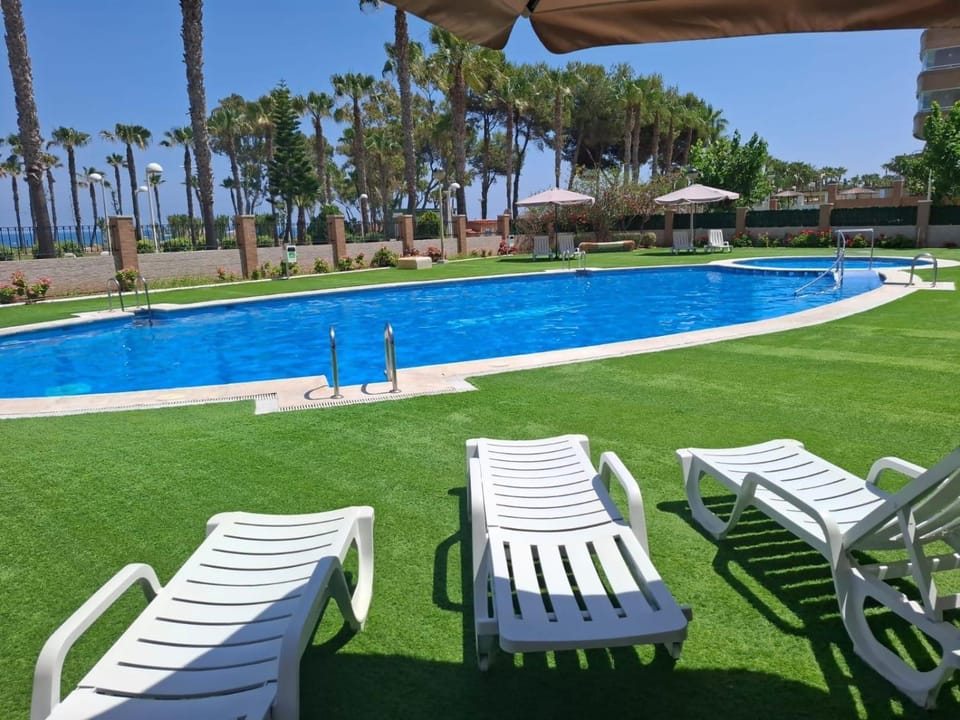 Pool view, Swimming pool
