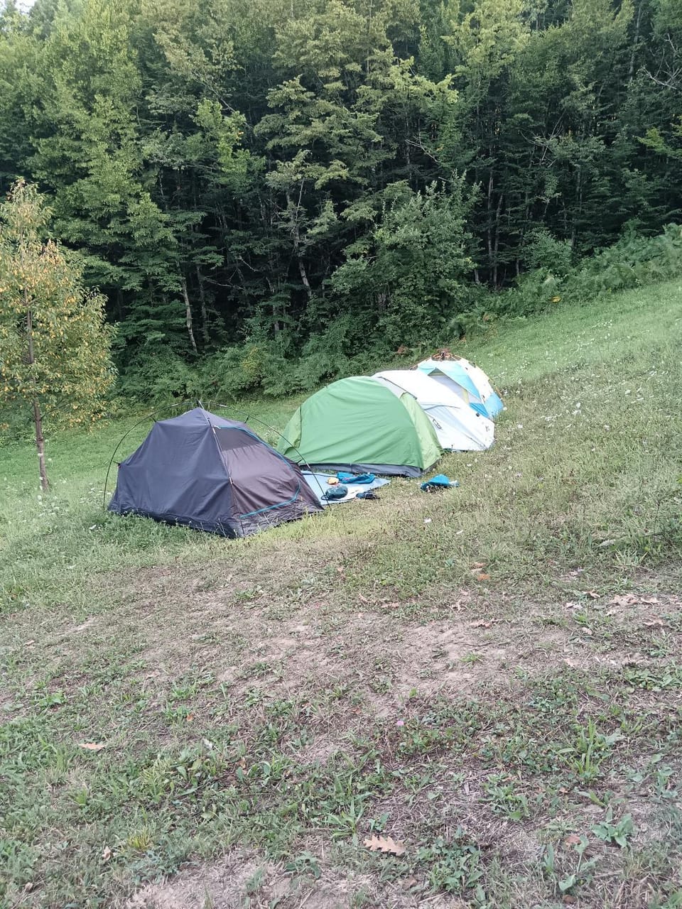 Wild Camping Albareto Campground/ 
RV Resort in Province of Massa and Carrara