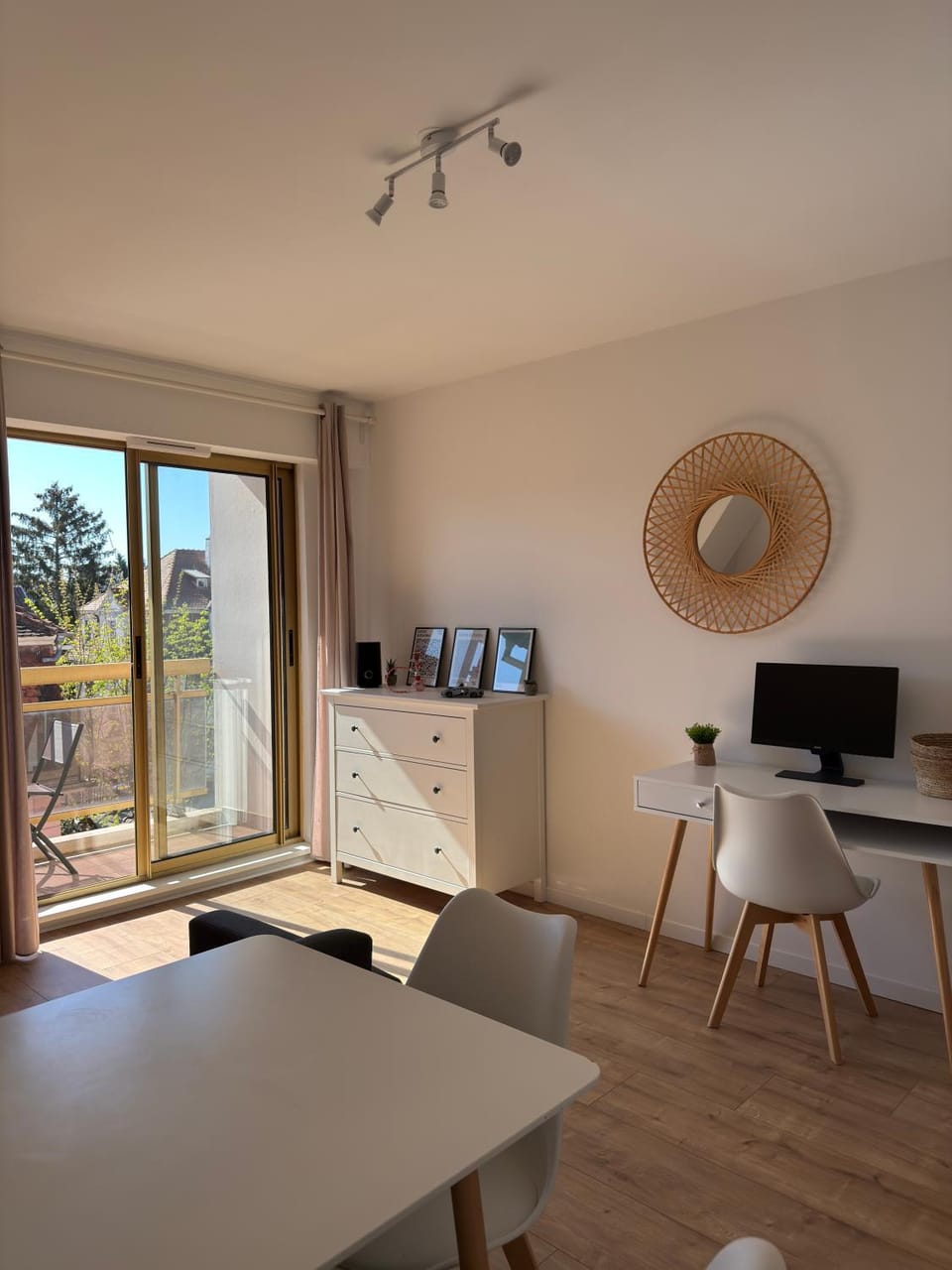 Large European Parliament Studio Apartment in Strasbourg
