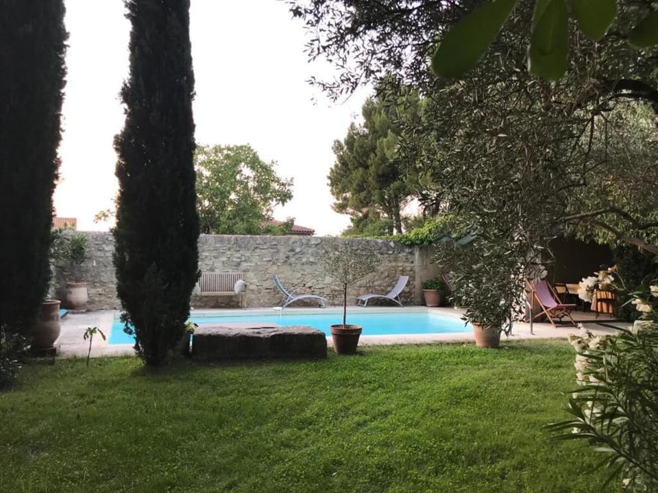 Garden, Pool view, Swimming pool, sunbed