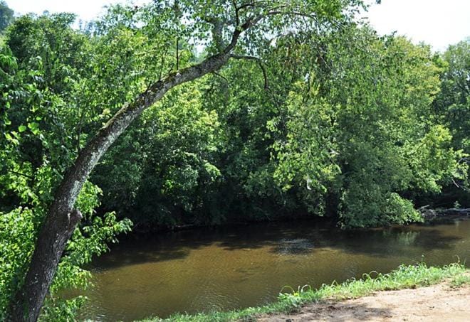 River view