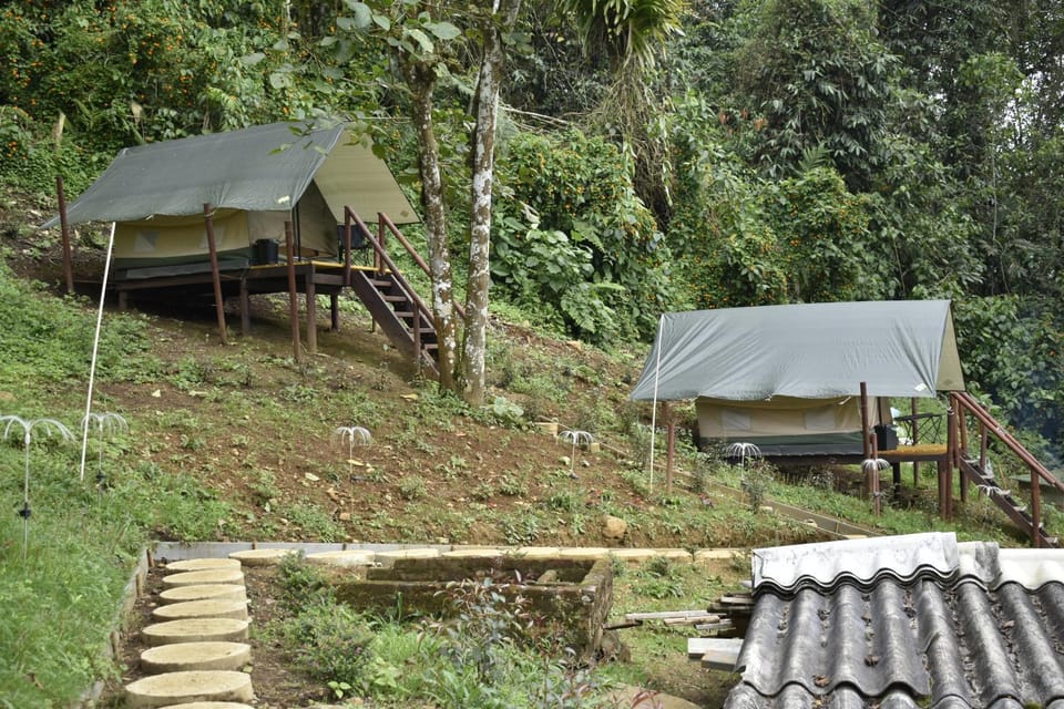 Nido Bag Glamping Campground/ 
RV Resort in Valle del Cauca