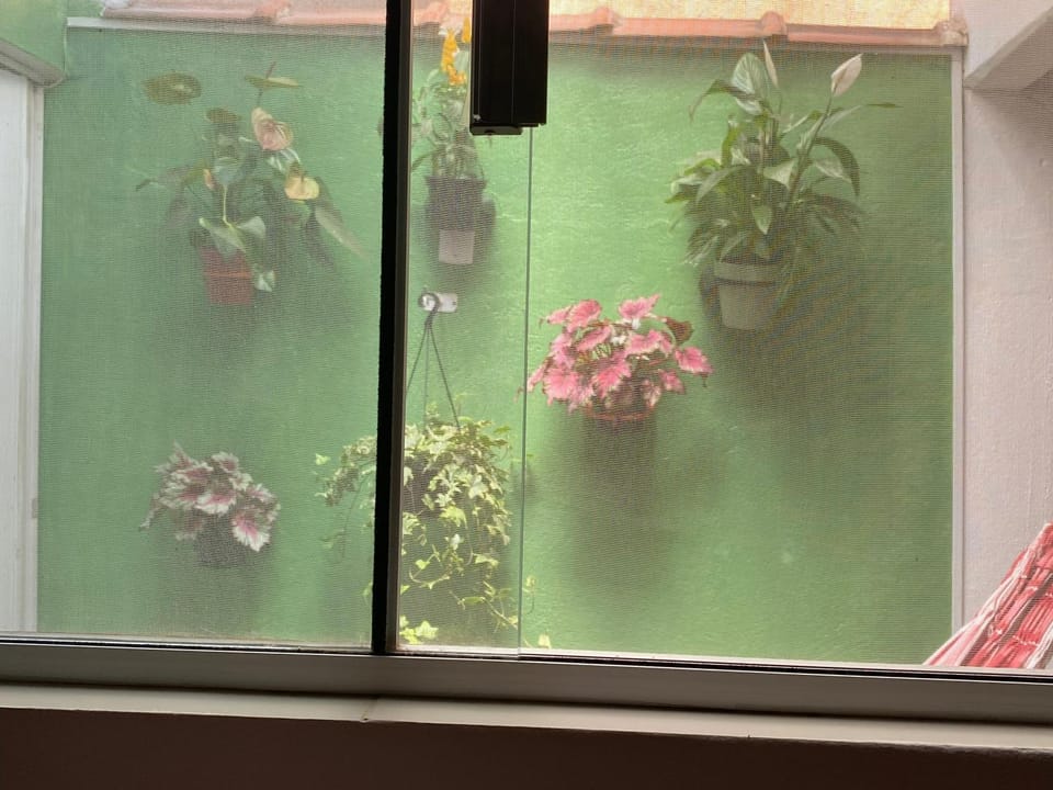View (from property/room)