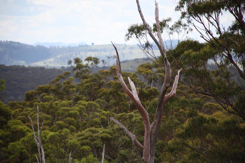Landmark view