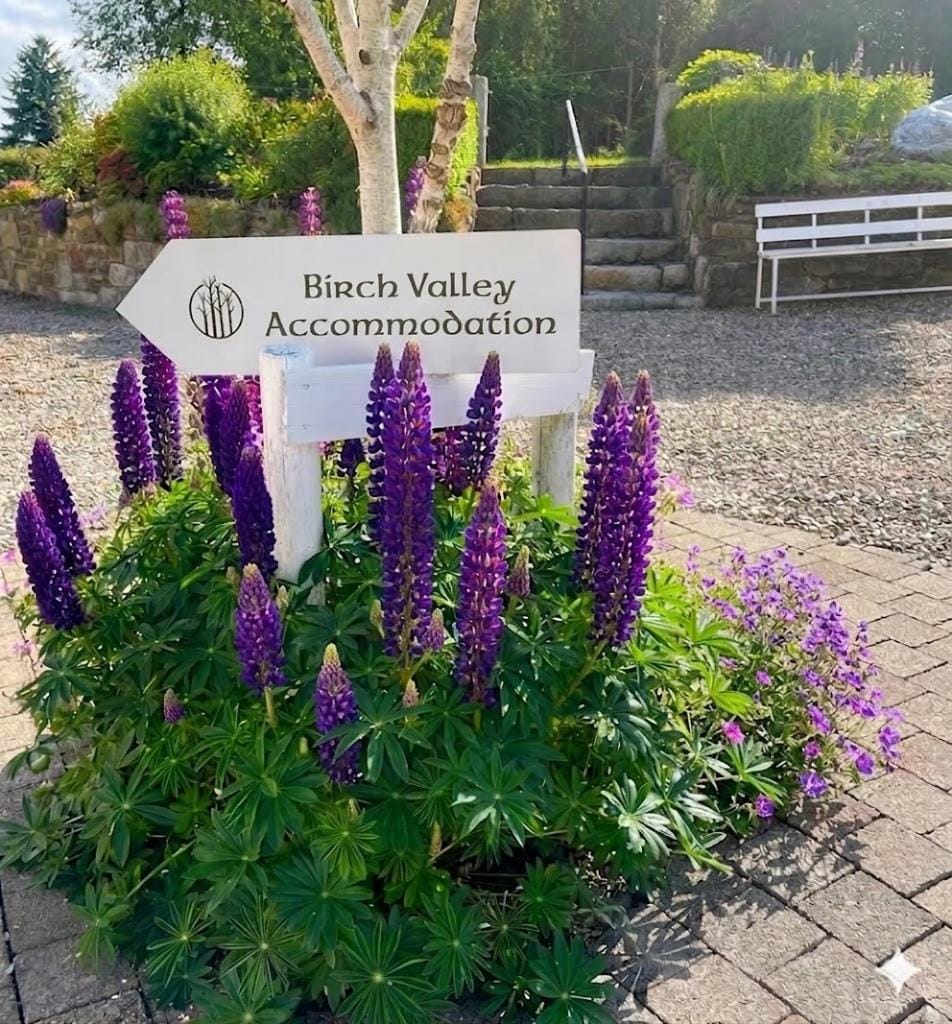 Birch Valley Accommodation Tinahely Wicklow Apartment in Wicklow, Co. Wicklow, Ireland