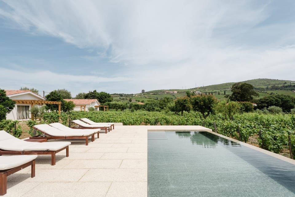 IMAGO Houses - Douro Valley - By MET Villa in Vila Real District