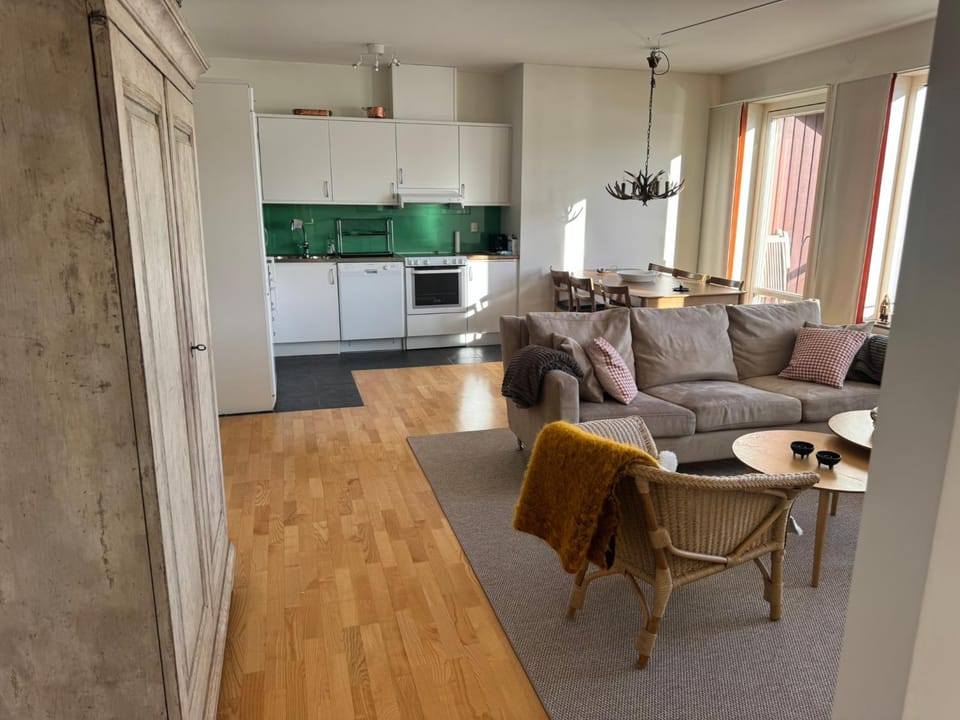 Kitchen or kitchenette, Living room, Seating area, Dining area, oven, pet friendly, stove