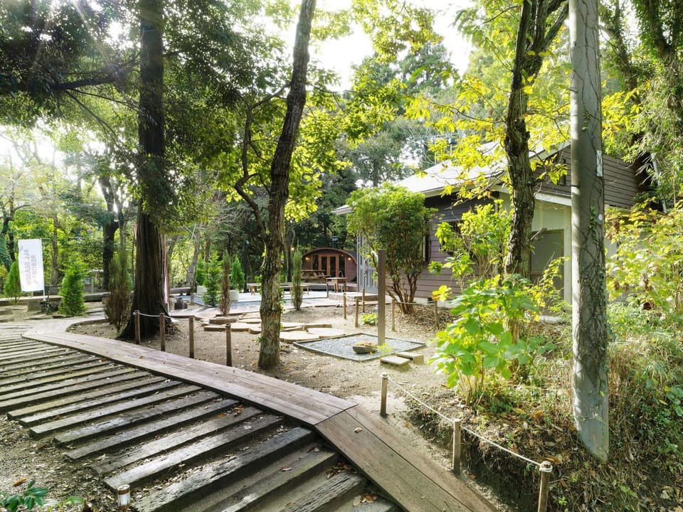 Day, Natural landscape, Garden, Garden view
