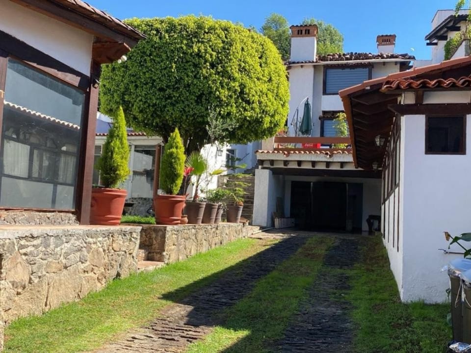 Property building, Garden view