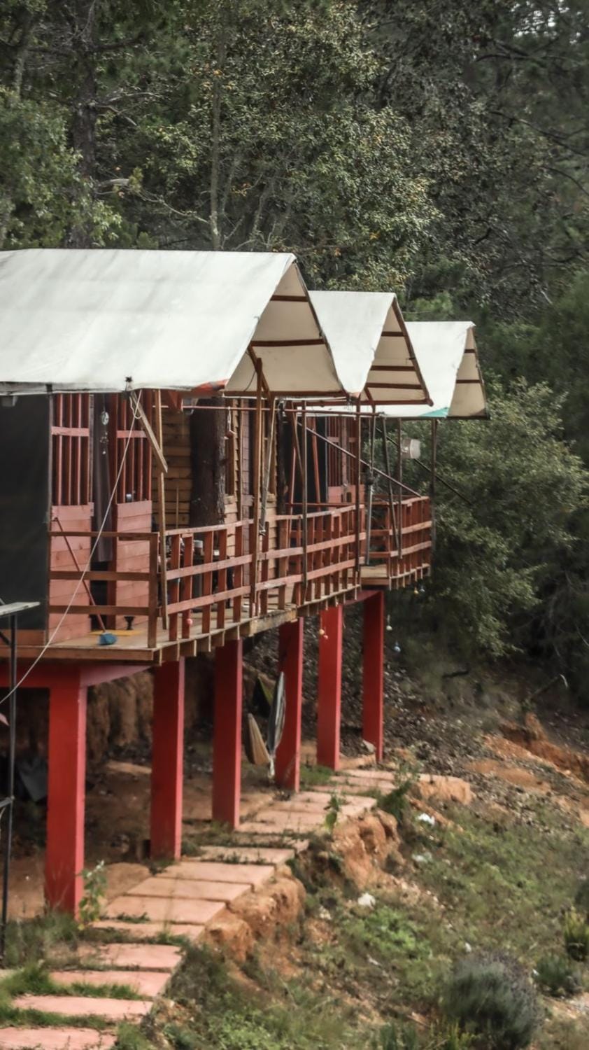 Eko Aldea Kolybry Luxury tent in State of Querétaro