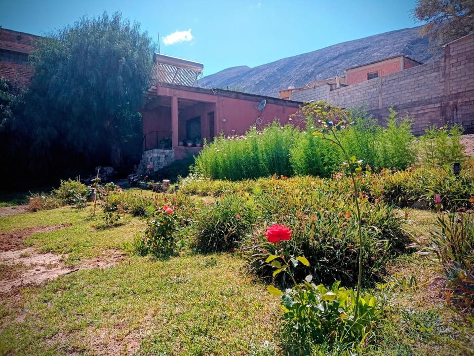 Natural landscape, Garden, Garden view
