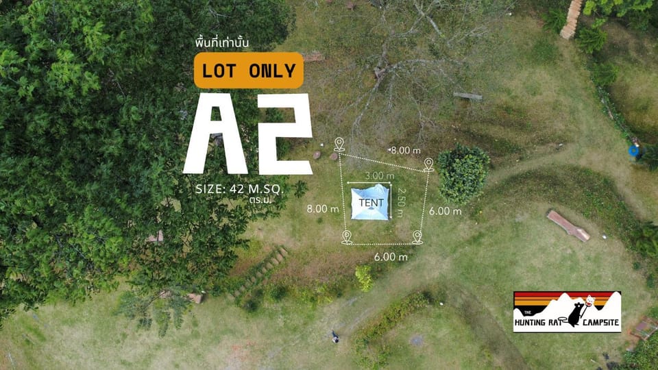 Day, Natural landscape, Bird's eye view, Street view