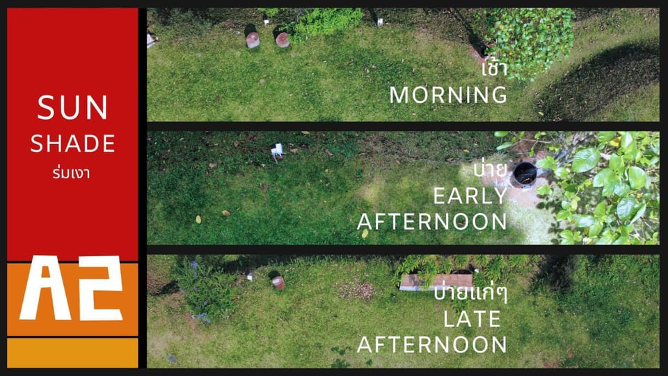 Text overlay