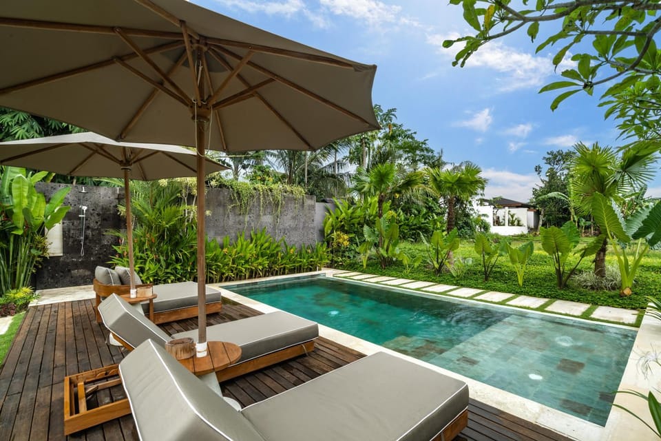 Swimming pool, sunbed