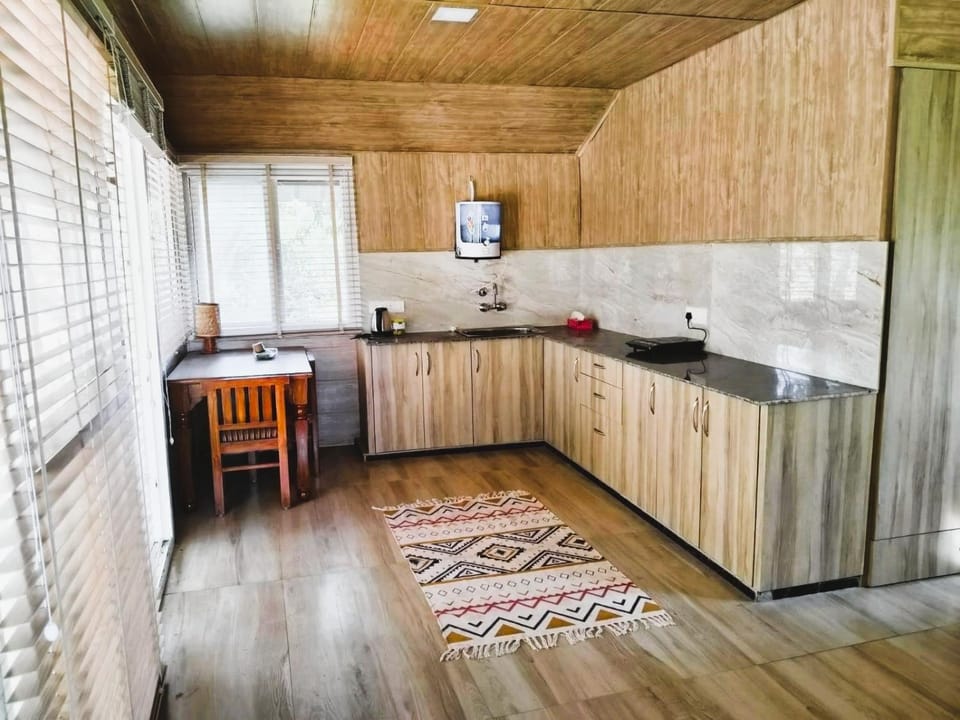 Kitchen or kitchenette, kitchen, kitchen