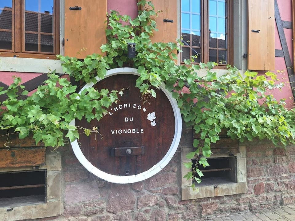 L'Horizon du Vignoble Apartment in Grand Est