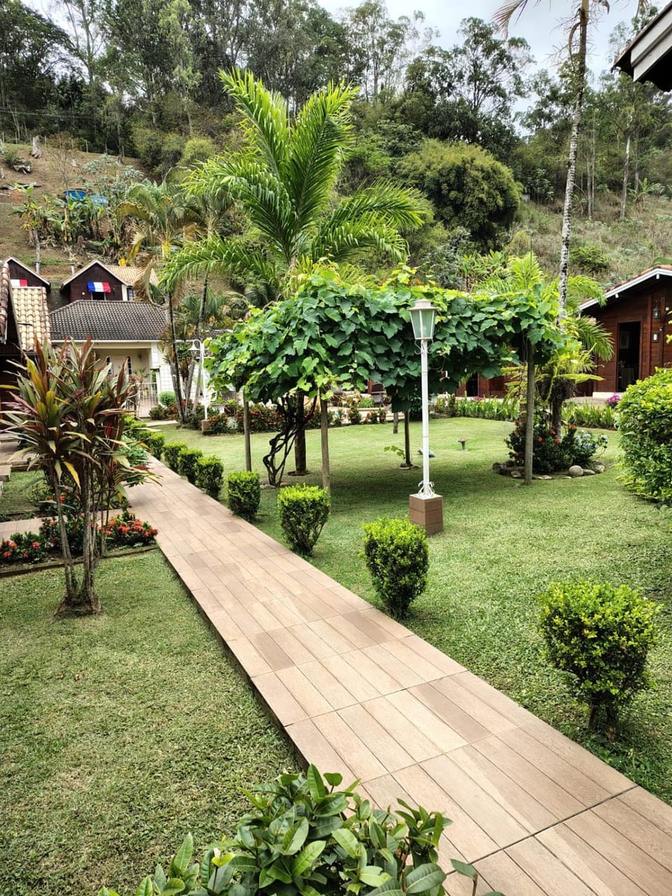 Natural landscape, Garden view